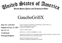 Gauchogrillx® Sartén parrillero pre-curado 10.5" (26cm) Made in Venezuela